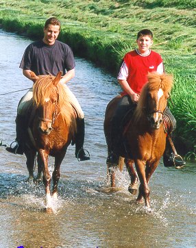 Reini auf Assa und Phil auf Gloa im Stooberbach