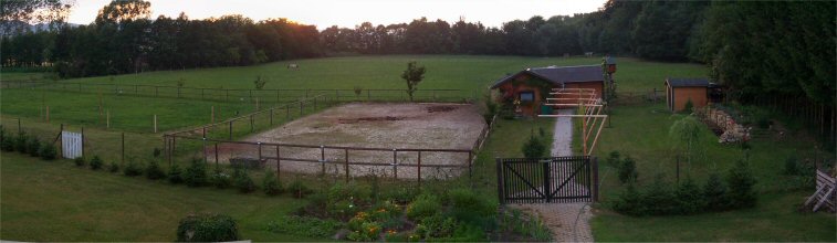 Islandpferdegestüt Schwabenhof