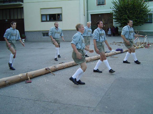 Maibaum